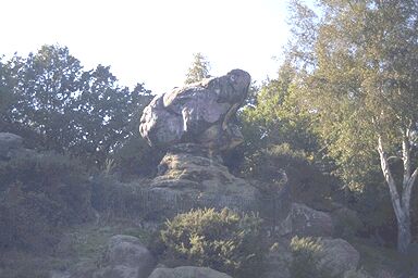 Toad Rock